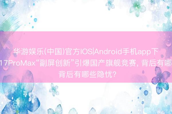 华游娱乐(中国)官方IOS|Android手机app下载 小米17ProMax“副屏创新”引爆国产旗舰竞赛， 背后有哪些隐忧?