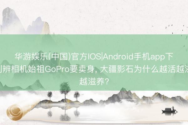华游娱乐(中国)官方IOS|Android手机app下载 判辨相机始祖GoPro要卖身, 大疆影石为什么越活越滋养?