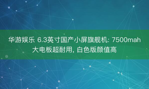 华游娱乐 6.3英寸国产小屏旗舰机: 7500mah大电板超耐用， 白色版颜值高