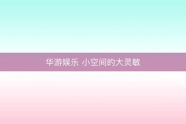 华游娱乐 小空间的大灵敏