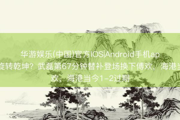 华游娱乐(中国)官方IOS|Android手机app下载 能否旋转乾坤？武磊第67分钟替补登场换下傅欢，海港当今1-2过期