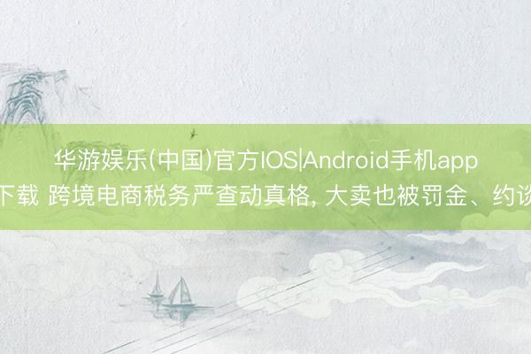 华游娱乐(中国)官方IOS|Android手机app下载 跨境电商税务严查动真格， 大卖也被罚金、约谈