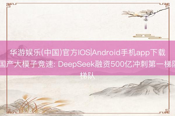 华游娱乐(中国)官方IOS|Android手机app下载 国产大模子竞速: DeepSeek融资500亿冲刺第一梯队