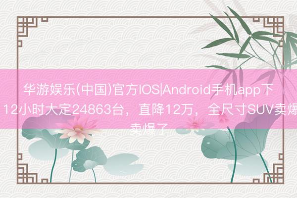 华游娱乐(中国)官方IOS|Android手机app下载 12小时大定24863台，直降12万，全尺寸SUV卖爆了