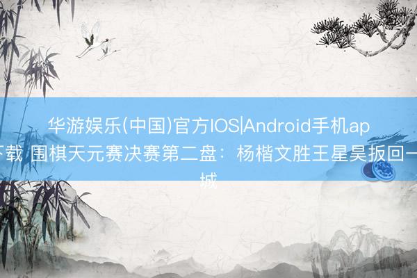 华游娱乐(中国)官方IOS|Android手机app下载 围棋天元赛决赛第二盘：杨楷文胜王星昊扳回一城