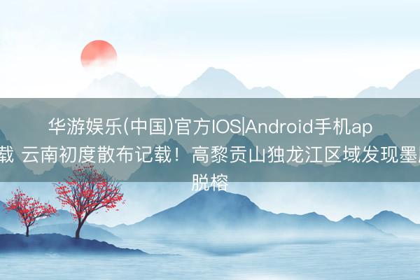 华游娱乐(中国)官方IOS|Android手机app下载 云南初度散布记载！高黎贡山独龙江区域发现墨脱榕