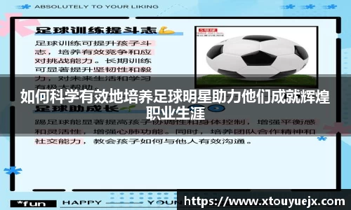 星空.综合体育官网