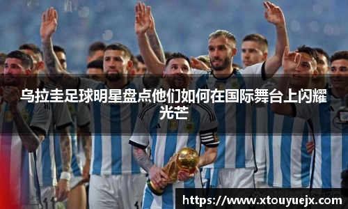 星空.综合体育官网