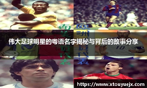 星空.综合体育(中国)官方网站